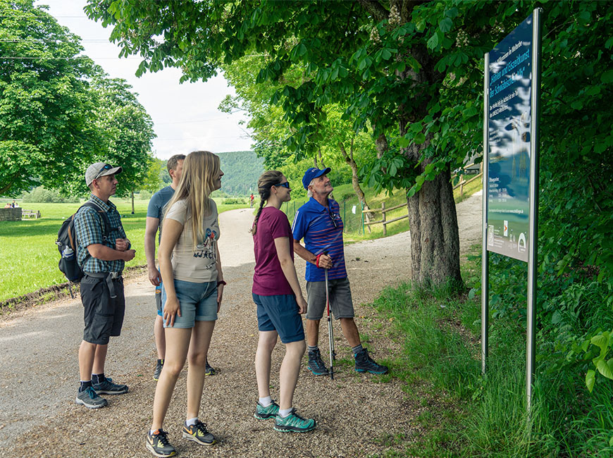 Höhlen auf der schwäbischen Alb Weltkulturerbe