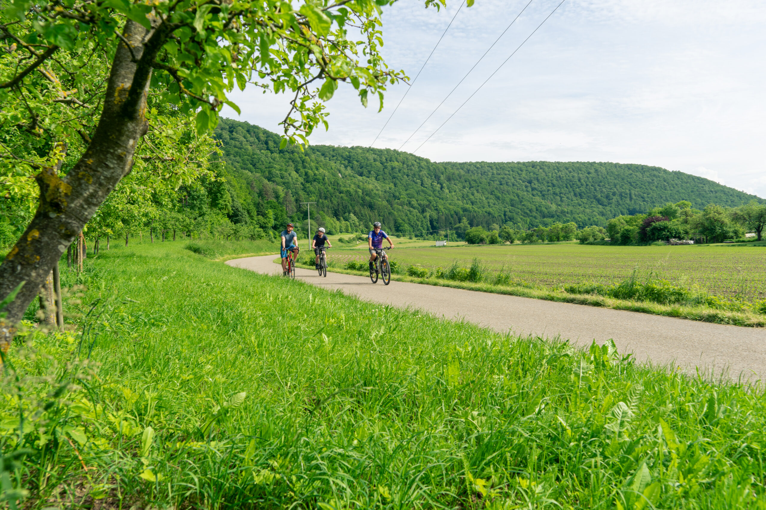 Drei Radfahrer auf einem asphaltierten Radweg neben grünen Wiesen und bewaldeten Hügeln unter leicht bewölktem Himmel