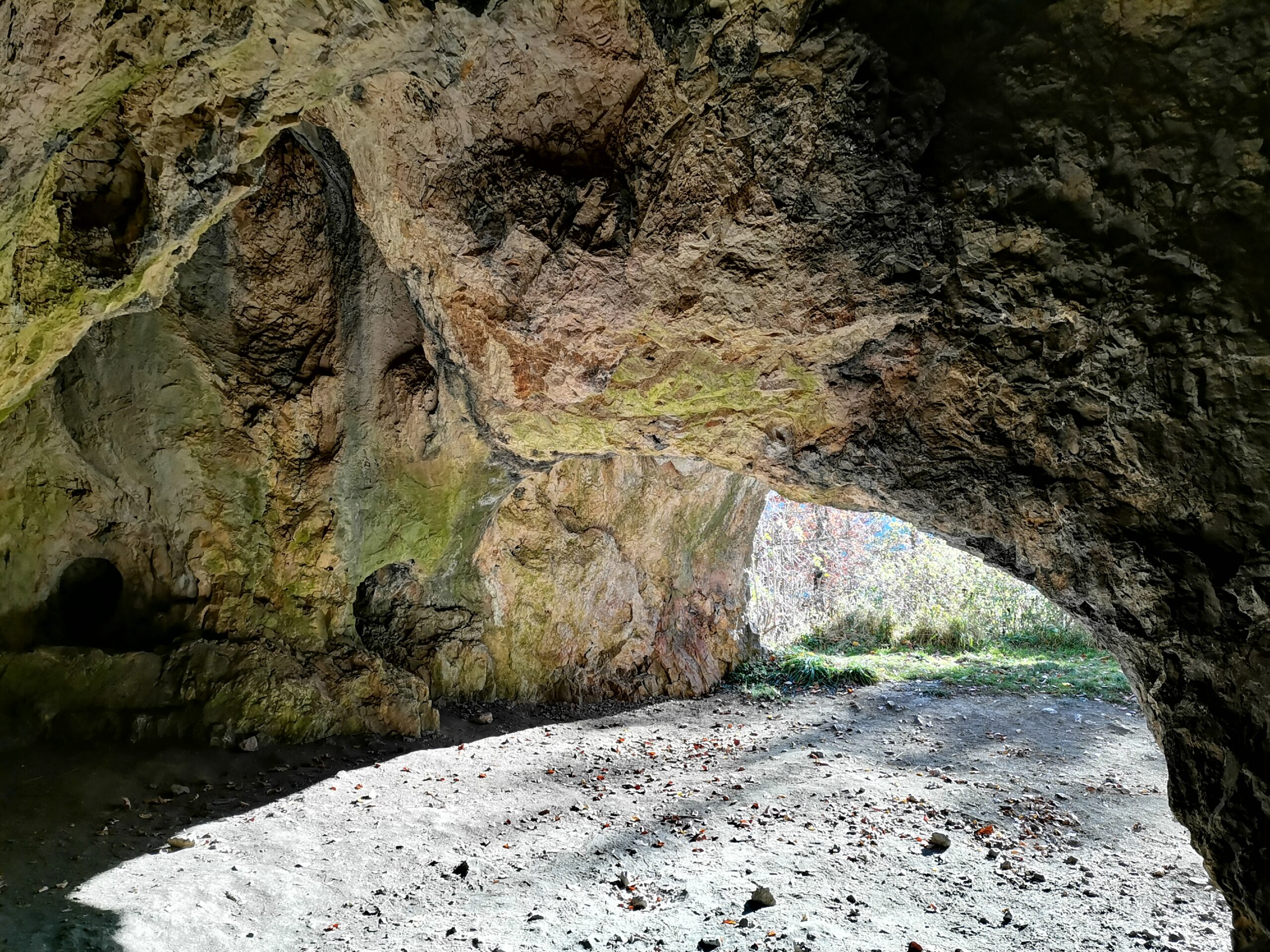 Blick aus dem Inneren der Sirgenstein Höhle auf den Höhleneingang mit unregelmäßigen Felswänden und Boden mit verstreuten kleinen Steinen
